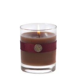Aromatique - Cinnamon Cider Fragrance Collection - Botanicals, Candles, Refresher Oil,  Spray - Olde Church Emporium