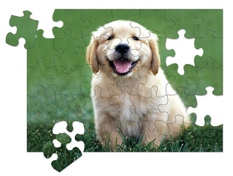 Melissa & Doug Golden Retriever Puppy Cardboard Jigsaw Puzzle - 30 Piece - Olde Church Emporium
